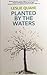 Planted by the Waters