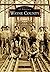 Wayne County (Images of America)
