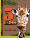 5 Giraffes