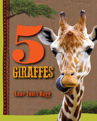 5 Giraffes (5 Animals)