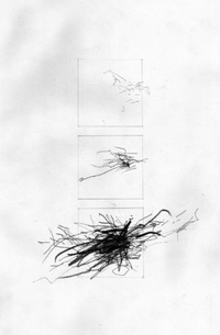 Incidente em Tunguska
