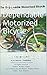 The Dependable Motorized Bicycle by Rodney Harris