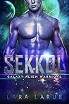 Sekkol by Lara Larue