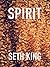 Spirit: A "Straight" Holida...