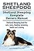Shetland Sheepdog Dog. Shetland Sheepdog dog book for costs, care, feeding, grooming, training and health. Shetland Sheepdog dog Owners Manual.