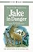 Jake in Danger (Hodder Story Book)
