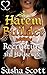 Harem Builder: Recruiting the Housewife (Harem Warp, #3)