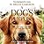 A Dog's Purpose (A Dog's Purpose, #1)