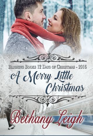 A Merry Little Christmas