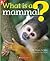 What Is A Mammal?