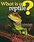 What Is A Reptile?