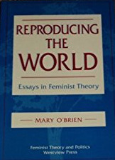 Reproducing The World: Essays In Feminist Theory (Feminist Theory and Politics Series)