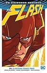 The Flash, Vol. 1...