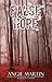 False Hope (A Rachel Thomas...