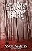 False Hope (A Rachel Thomas Novel Book 2)
