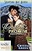The Outlaw's Promise (Monta...