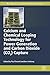 Calcium and Chemical Looping Technology for Power Generation ... by Paul Fennell