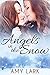 Angels in the Snow