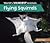 Flying Squirrels