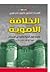 الخلافة الأموية: دراسة لأول...