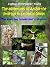 The adventures of Archie the little bat in a tropical forest. The aspiring researcher’s stories