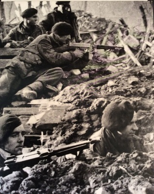 The Commandos (Hardcover)