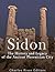 Sidon: The History and Legacy of the Ancient Phoenician City
