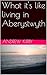 What it's like living in Aberystwyth: Photos Only