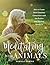 Meditating with Animals: How to Create More Conscious Connections with the Healers and Teachers Among Us