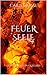 FeuerSeele: Chroniken von Quiliaris 1 (German Edition)