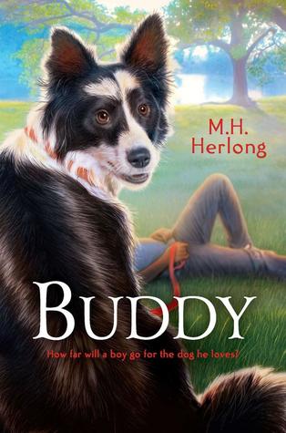 Buddy By M H Herlong