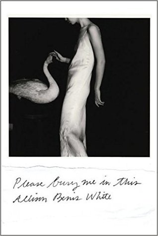 Please Bury Me in This (Paperback)