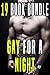 Gay For A Night: 19 Hot Books Bundle Collection