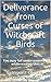 Deliverance from Witchcraft Birds by Evangelist Oluyemi Stephen ... Deliverance from Witchcraft Birds by Evangelist Oluyemi Stephen ...