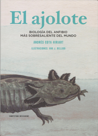 El ajolote: Biología del anfibio más sobresaliente del mundo (Paperback)