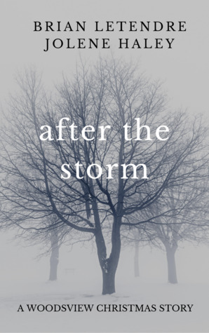 After the Storm (The Woodsview Murders, #1.5)