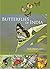 Butterflies of India