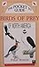 The Pocket Guide to birds of Prey of North America by Philip Burton
