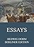 Essays