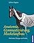 Anatomie, Gymnastizierung, Muskelaufbau: Die besten Übungen am Boden