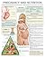 Pregnancy and nutrition e chart: Full illustrated