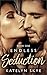 Endless Seduction: Alpha Male Romance