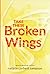 Take These Broken Wings by Natalie Corbett Sampson