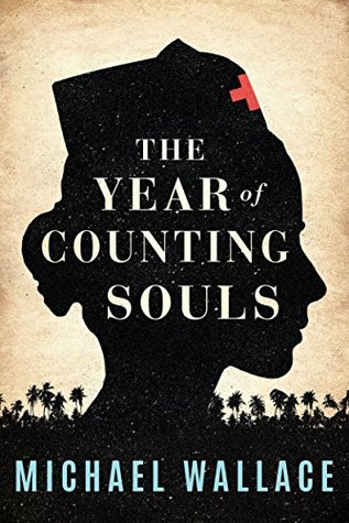 The Year of Counting Souls (Kindle Edition)