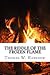 The Riddle of the Frozen Flame