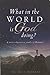 WHAT IN THE WORLD IS GOD DOING?: a verse-by-verse study of Romans