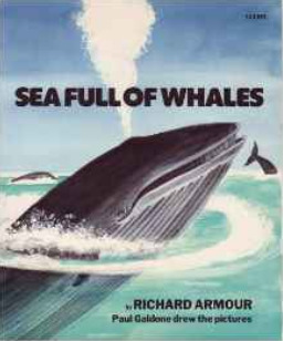 sea full of whales (Paperback)