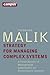 Strategy for Managing Complex Systems: A Contribution to Management Cybernetics for Evolutionary Systems