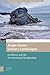 Anglo-Saxon Literary Landscapes (Environmental Humanities in Pre-modern Cultures)