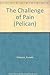 The Challenge of Pain